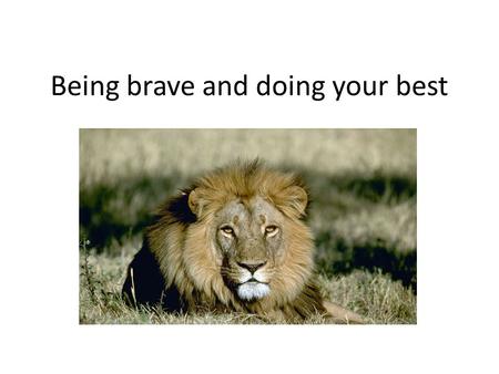 Being brave and doing your best