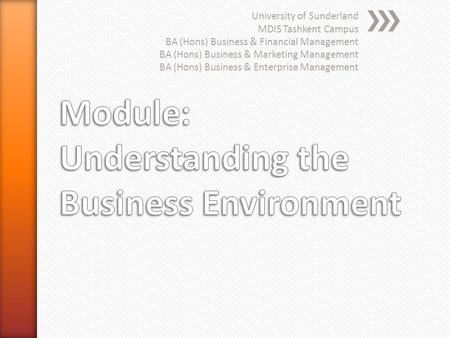 University of Sunderland MDIS Tashkent Campus BA (Hons) Business & Financial Management BA (Hons) Business & Marketing Management BA (Hons) Business &