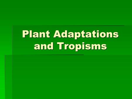Plant Adaptations and Tropisms
