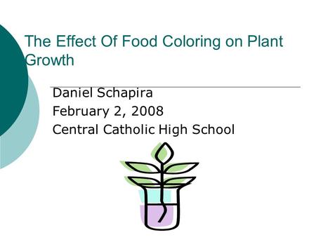 The Effect Of Food Coloring on Plant Growth Daniel Schapira February 2, 2008 Central Catholic High School.