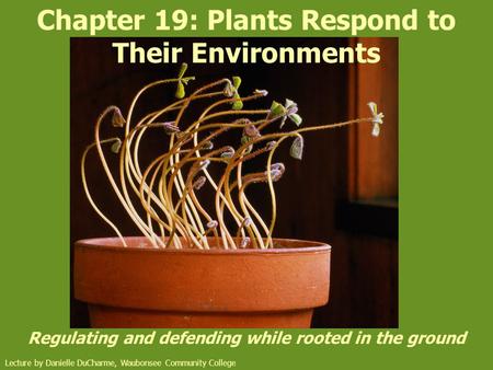 Chapter 19: Plants Respond to Their Environments