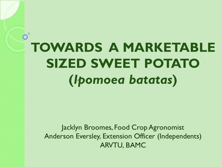 TOWARDS A MARKETABLE SIZED SWEET POTATO (Ipomoea batatas)