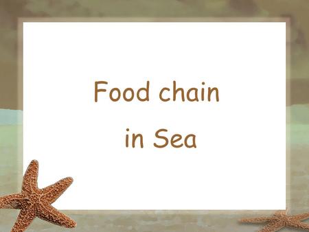 Food chain in Sea. hunters otters. Human often make changes in food chains. Then they find that one change causes other changes. That was what happened.