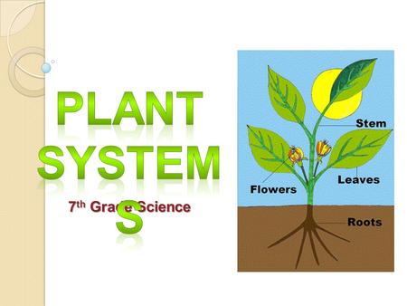 Plant Systems 7th Grade Science.