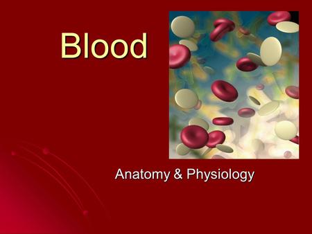 Blood Anatomy & Physiology. Functions of blood Transportation Transportation Heat regulation Heat regulation.