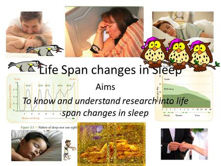 Life Span changes in Sleep Aims To know and understand research into life span changes in sleep.