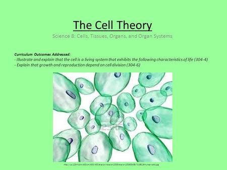 The Cell Theory Science 8: Cells, Tissues, Organs, and Organ Systems Curriculum Outcomes Addressed: - Illustrate and explain that the cell is a living.
