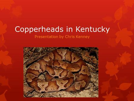 Copperheads in Kentucky Presentation by Chris Kenney.