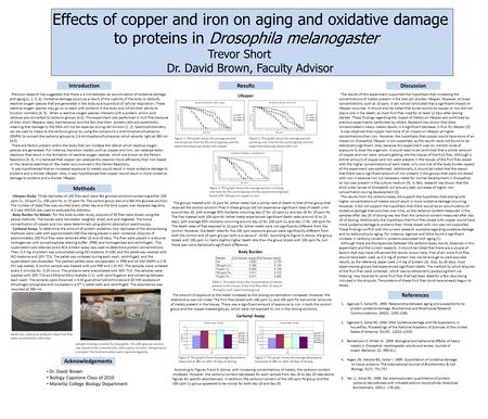 Effects of copper and iron on aging and oxidative damage to proteins in Drosophila melanogaster Trevor Short Dr. David Brown, Faculty Advisor Previous.