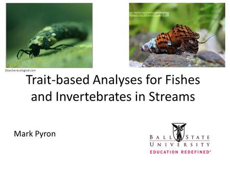 Trait-based Analyses for Fishes and Invertebrates in Streams Mark Pyron Stoeckerecological.com.