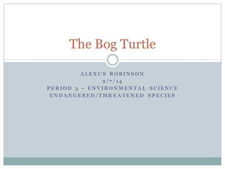 ALEXUS ROBINSON 2/7/14 PERIOD 3 – ENVIRONMENTAL SCIENCE ENDANGERED/THREATENED SPECIES The Bog Turtle.