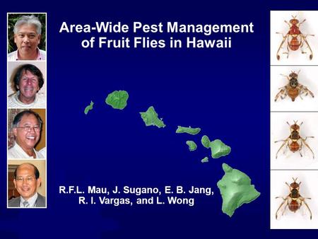 Hawaii Maui Molokai Oahu Kauai Lanai Kahoolawe Niihau Area-Wide Pest Management of Fruit Flies in Hawaii R.F.L. Mau, J. Sugano, E. B. Jang, R. I. Vargas,