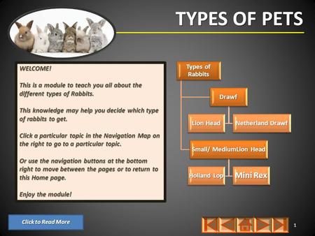 TYPES OF PETS 1 WELCOME! This is a module to teach you all about the different types of Rabbits. This knowledge may help you decide which type of rabbits.