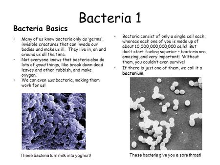 Bacteria 1 Bacteria Basics Many of us know bacteria only as ‘ germs ’, invisible creatures that can invade our bodies and make us ill. They live in, on.