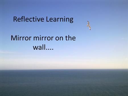 Reflective Learning Mirror mirror on the wall.....