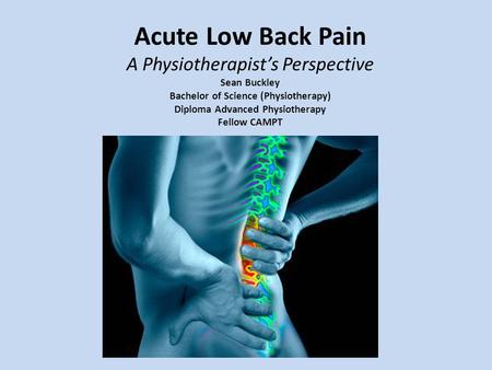 Acute Low Back Pain A Physiotherapist’s Perspective Sean Buckley Bachelor of Science (Physiotherapy) Diploma Advanced Physiotherapy Fellow CAMPT.