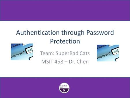 Team: SuperBad Cats MSIT 458 – Dr. Chen Authentication through Password Protection.