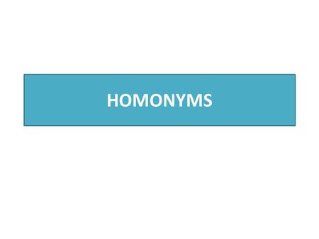 HOMONYMS. Definitions Noun—A word that describes a person, place, or thing. Adjective—A word that describes a noun or a pronoun. Pronoun—A word that replaces.