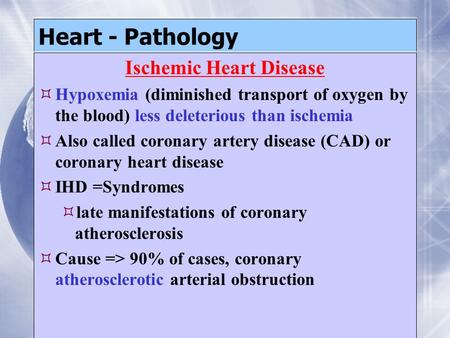 Heart - Pathology Ischemic Heart Disease  Hypoxemia (diminished transport of oxygen by the blood) less deleterious than ischemia  Also called coronary.