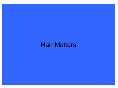 Hair Matters. Head, 2500-800 BP (500BC-200AD) Terracotta.