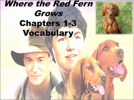 Where the Red Fern Grows Chapters 1-3 Vocabulary.