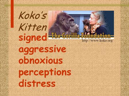 Koko’s Kitten  signed aggressive obnoxious perceptions distress.