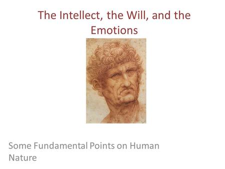The Intellect, the Will, and the Emotions
