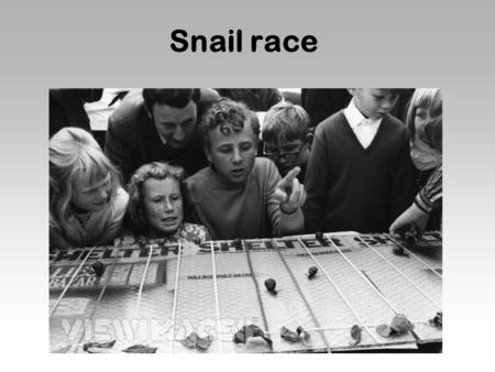 Snail race.