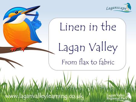 Linen in the Lagan Valley From flax to fabric www.laganvalleylearning.co.uk.
