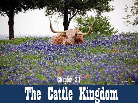 Chapter 21 The Cattle Kingdom.