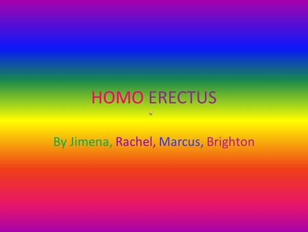 HOMO ERECTUS By Jimena, Rachel, Marcus, Brighton.