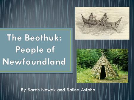By Sarah Nowak and Salina Asfaha. Descendants of the Algonquian hunter-gatherers Archeologists suggest that the Beothuk inhabited Newfoundland long before.