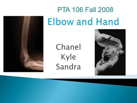 Elbow and Hand PTA 106 Fall 2008 Chanel Kyle Sandra.