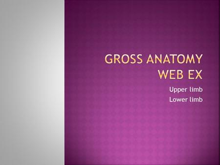 Gross anatomy Web ex Upper limb Lower limb.