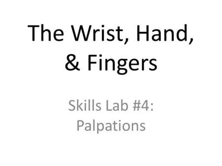 The Wrist, Hand, & Fingers Skills Lab #4: Palpations.