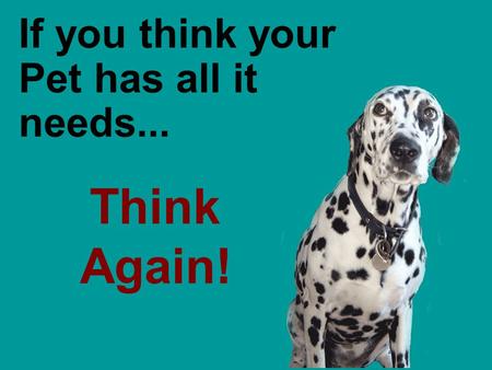 Think Again! If you think your Pet has all it needs...