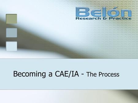 Becoming a CAE/IA - The Process. Centers of Academic Excellence Center Designations Benefits The Process Website: www.nsa.gov/ia/academia/caeiae.cfm www.nsa.gov/ia/academia/caeiae.cfm.