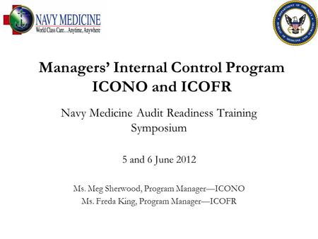 Managers’ Internal Control Program ICONO and ICOFR