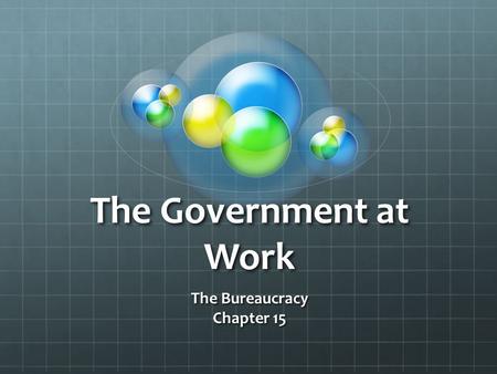 The Bureaucracy Chapter 15