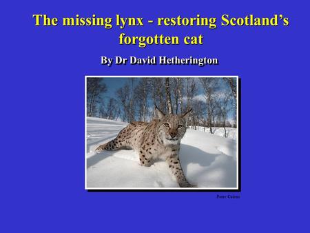 The missing lynx - restoring Scotland’s By Dr David Hetherington