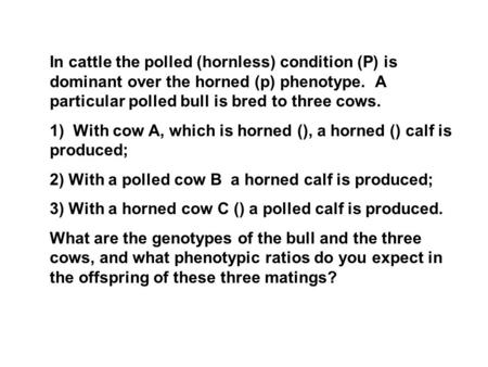 In cattle the polled (hornless) condition (P) is dominant over the horned (p) phenotype.  A particular polled bull is bred to three cows.  1) With cow.