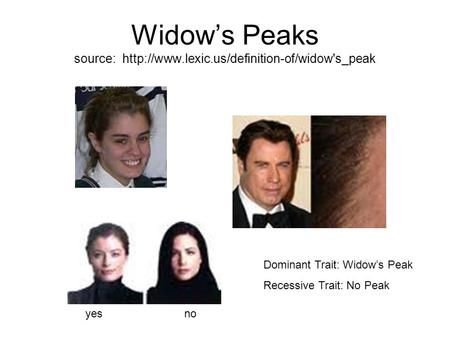Widow’s Peaks source:  yes no Dominant Trait: Widow’s Peak Recessive Trait: No Peak.