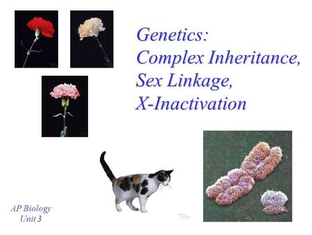 Genetics: Complex Inheritance, Sex Linkage, X-Inactivation