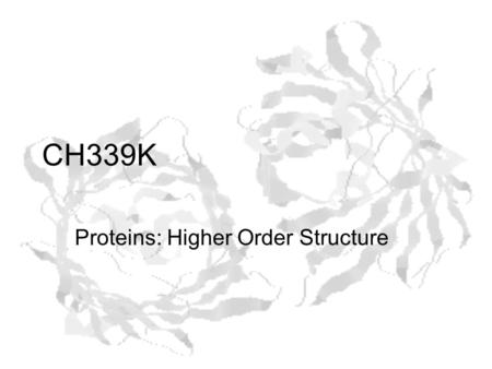 CH339K Proteins: Higher Order Structure. Higher Levels of Protein Structure.