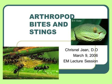 ARTHROPOD BITES AND STINGS Chrisnel Jean, D.O March 9, 2006 EM Lecture Session.