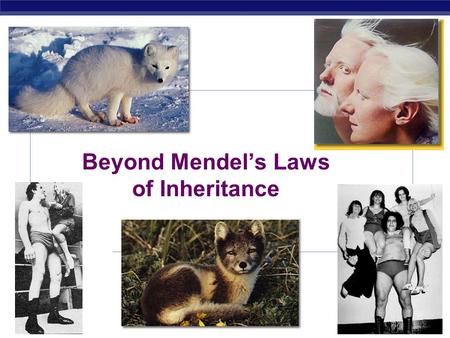 AP Biology 2006-2007 Beyond Mendel’s Laws of Inheritance.