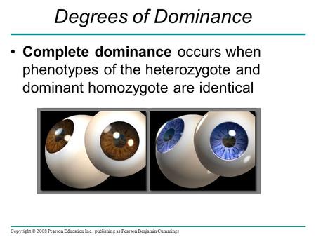 Degrees of Dominance Complete dominance occurs when phenotypes of the heterozygote and dominant homozygote are identical Copyright © 2008 Pearson Education.