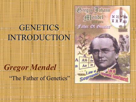 Gregor Mendel “The Father of Genetics” GENETICS INTRODUCTION.