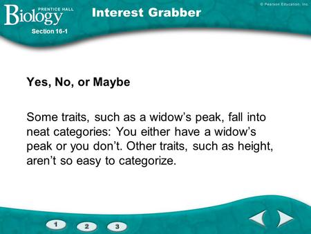 Interest Grabber Yes, No, or Maybe