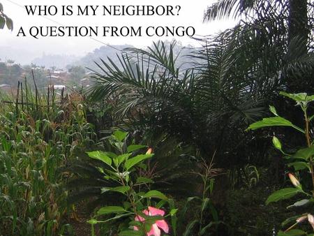 WHO IS MY NEIGHBOR? A QUESTION FROM CONGO. Psalm 146 Praise the Lord! Praise the Lord, O my soul. I will praise the Lord all my life; I will sing praise.